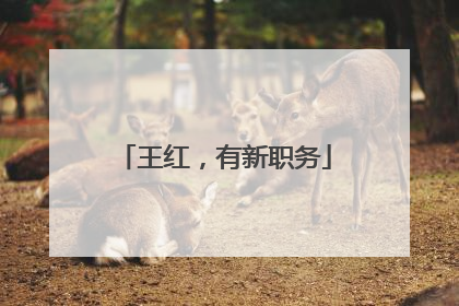 王红，有新职务