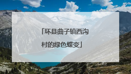 环县曲子镇西沟村的绿色蝶变