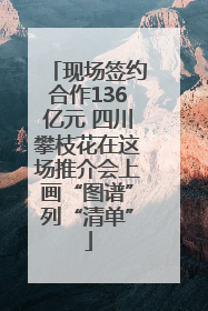 现场签约合作136亿元 四川攀枝花在这场推介会上画“图谱”列“清单”
