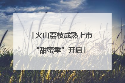 火山荔枝成熟上市 “甜蜜季”开启