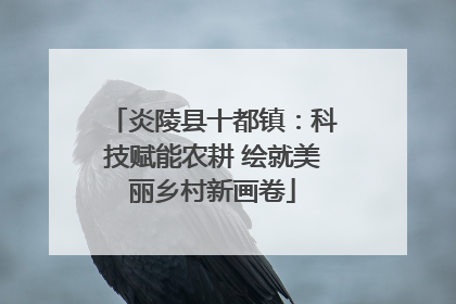 炎陵县十都镇：科技赋能农耕 绘就美丽乡村新画卷