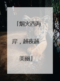 烟火西海岸，越夜越美丽