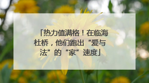 热力值满格！在临海杜桥，他们跑出“爱与法”的“家”速度