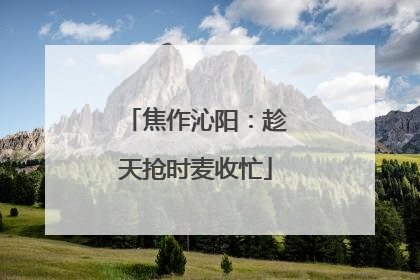 焦作沁阳：趁天抢时麦收忙