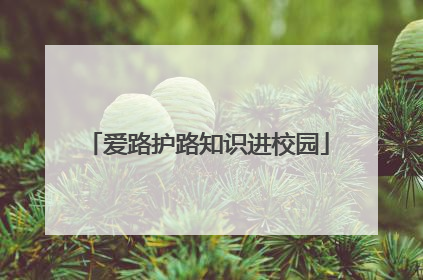 爱路护路知识进校园
