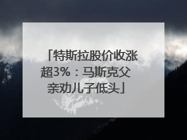 特斯拉股价收涨超3%：马斯克父亲劝儿子低头