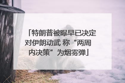 特朗普被曝早已决定对伊朗动武 称“两周内决策”为烟雾弹