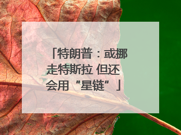 特朗普：或挪走特斯拉 但还会用“星链”