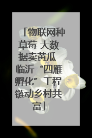 物联网种草莓 大数据卖黄瓜 临沂“四雁孵化”工程链动乡村共富
