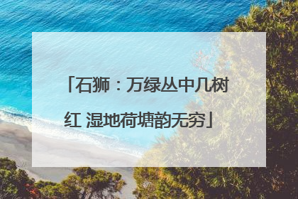 石狮：万绿丛中几树红 湿地荷塘韵无穷