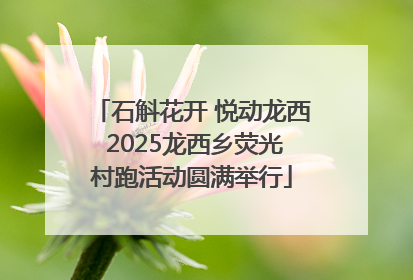 石斛花开 悦动龙西 2025龙西乡荧光村跑活动圆满举行
