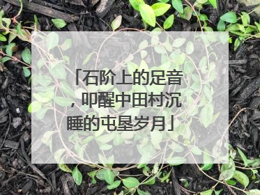 石阶上的足音，叩醒中田村沉睡的屯垦岁月