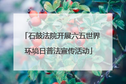 石鼓法院开展六五世界环境日普法宣传活动