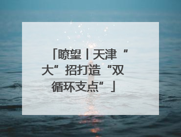 瞭望丨天津“大”招打造“双循环支点”