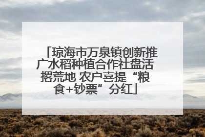 琼海市万泉镇创新推广水稻种植合作社盘活撂荒地 农户喜提“粮食+钞票”分红