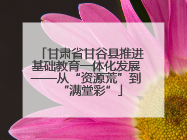 甘肃省甘谷县推进基础教育一体化发展——从“资源荒”到“满堂彩”