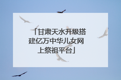 甘肃天水升级搭建亿万中华儿女网上祭祖平台