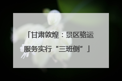 甘肃敦煌：景区骆运服务实行“三班倒”