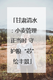 甘肃清水：小麦管理正当时 守护粮“芯”绘丰景
