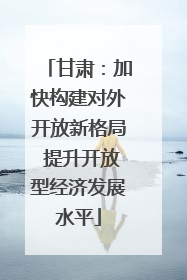 甘肃：加快构建对外开放新格局 提升开放型经济发展水平