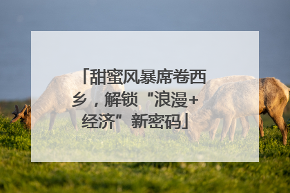 甜蜜风暴席卷西乡，解锁“浪漫+经济”新密码
