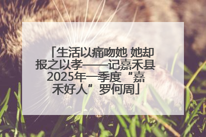 生活以痛吻她 她却报之以孝——记嘉禾县2025年一季度“嘉禾好人”罗何周