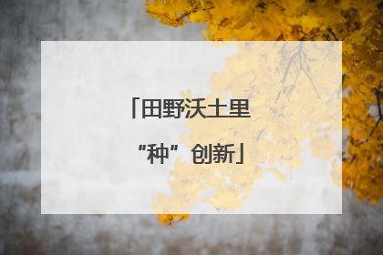 田野沃土里“种”创新