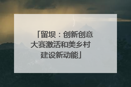 留坝：创新创意大赛激活和美乡村建设新动能