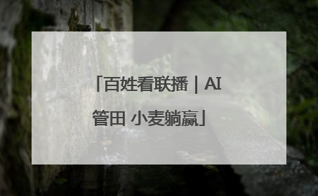 百姓看联播｜AI管田 小麦躺赢