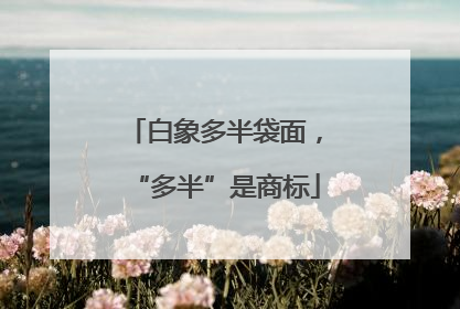 白象多半袋面，“多半”是商标