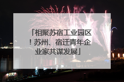 相聚苏宿工业园区！苏州、宿迁青年企业家共谋发展
