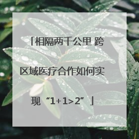 相隔两千公里 跨区域医疗合作如何实现“1+1>2”
