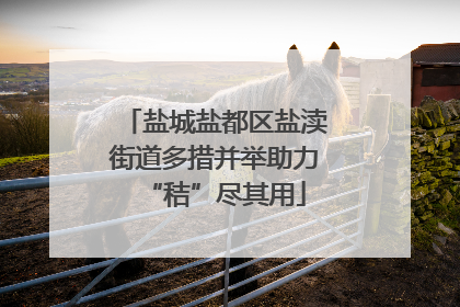 盐城盐都区盐渎街道多措并举助力“秸”尽其用