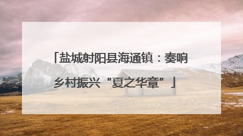 盐城射阳县海通镇：奏响乡村振兴“夏之华章”