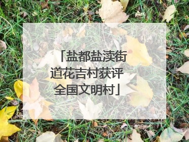盐都盐渎街道花吉村获评全国文明村