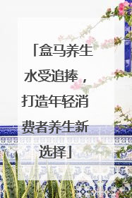 盒马养生水受追捧，打造年轻消费者养生新选择