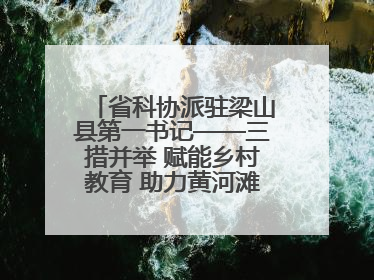 省科协派驻梁山县第一书记——三措并举 赋能乡村教育 助力黄河滩娃健康成长