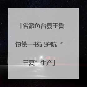 省派鱼台县王鲁镇第一书记护航“三夏”生产