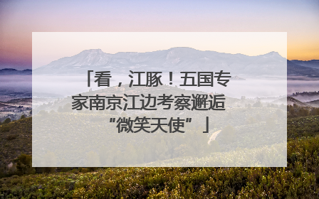 看，江豚！五国专家南京江边考察邂逅“微笑天使”