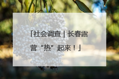 社会调查｜长春露营“热”起来！
