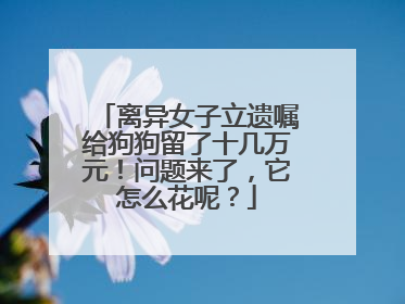 离异女子立遗嘱给狗狗留了十几万元！问题来了，它怎么花呢？