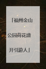 福州金山公园荷花盛开引游人