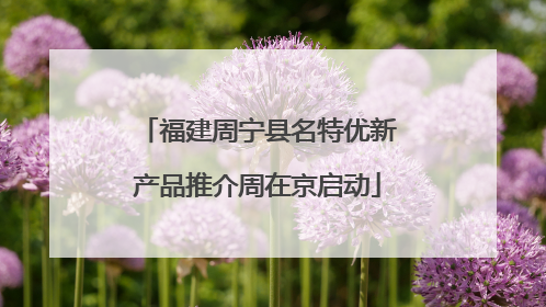 福建周宁县名特优新产品推介周在京启动