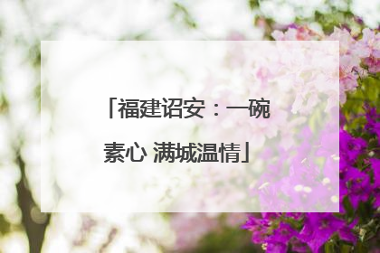 福建诏安：一碗素心 满城温情