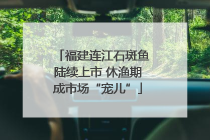 福建连江石斑鱼陆续上市 休渔期成市场“宠儿”