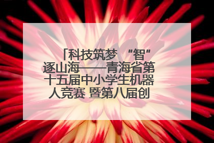 科技筑梦 “智”逐山海——青海省第十五届中小学生机器人竞赛 暨第八届创新设计大赛见闻