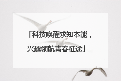 科技唤醒求知本能，兴趣领航青春征途