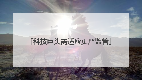科技巨头需适应更严监管