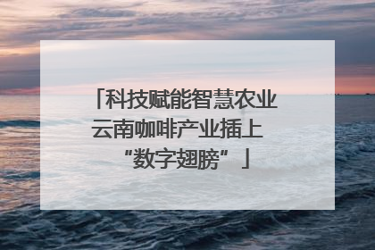 科技赋能智慧农业 云南咖啡产业插上“数字翅膀”