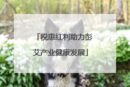 税惠红利助力彭艾产业健康发展